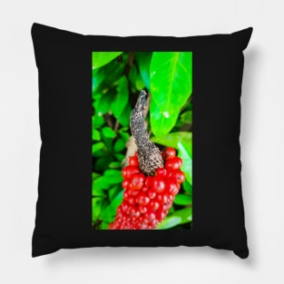 Red peppercorn with bird beak Pillow