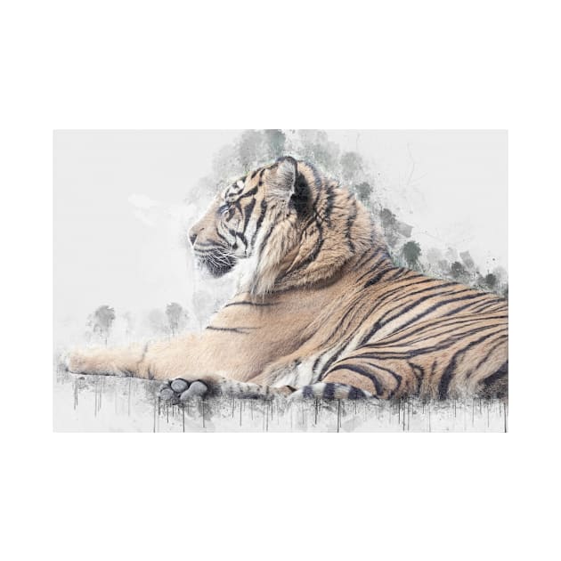 Tiger Wild Animal Safari Africa Feline Jungle_ by Cubebox