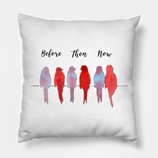 Watercolor Birds Love, Valentines Birds Print, Anniversary Birds Art, Wedding Art Print, Engagement Print, Anniversary Print, Birds Love Art Pillow