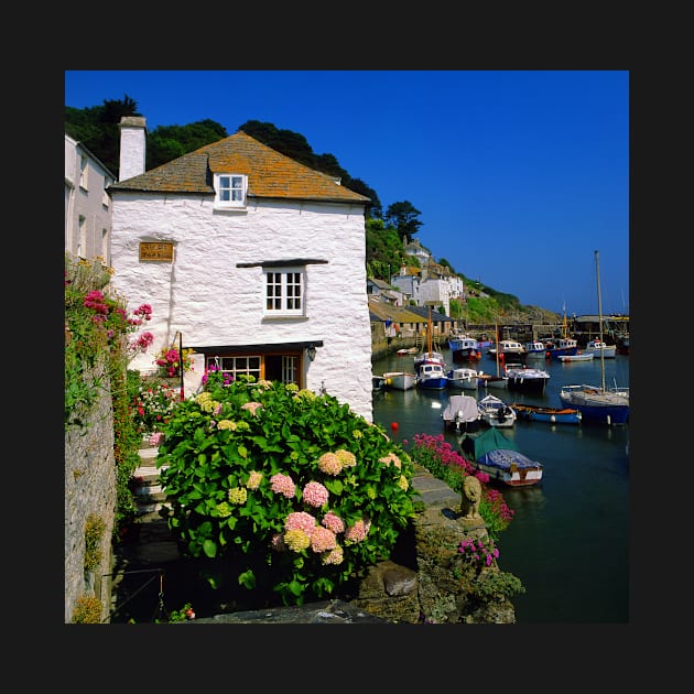 Old Watch House & Polperro Harbour by galpinimages