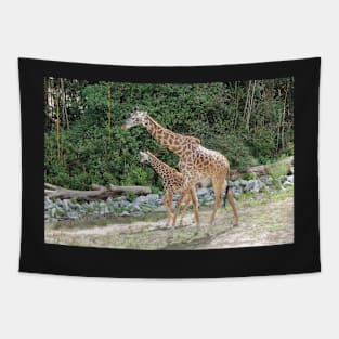 Mama and baby giraffes Tapestry