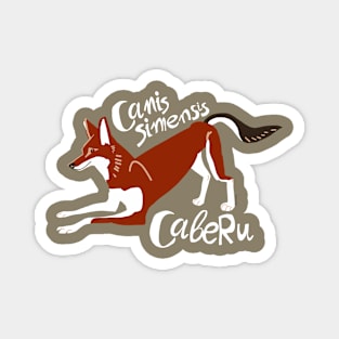 Caberu the Ethiopian Wolf #3 Magnet