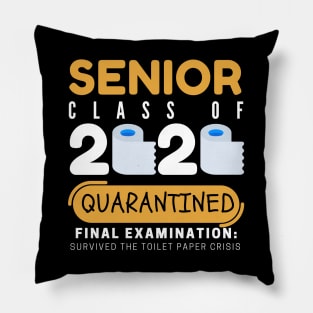 Class of 2020 Quarantined Seniors Quarantined The One Where They were Funny Pillow