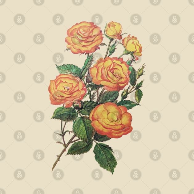 Vintage Rose Floral Flower Illustration Yellow by Squeeb Creative