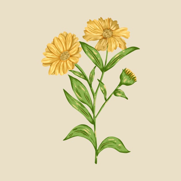 Calendula Plant Botancial by Salfiart