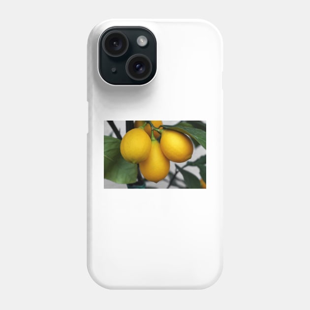 Lemons Phone Case by pinkal