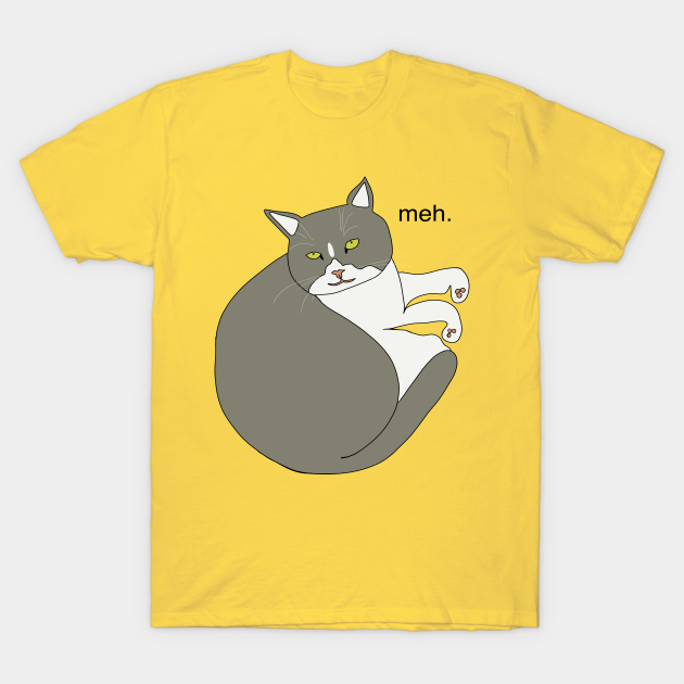 meh cat t shirt