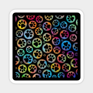 Colorful Paws in Circles Pattern Magnet