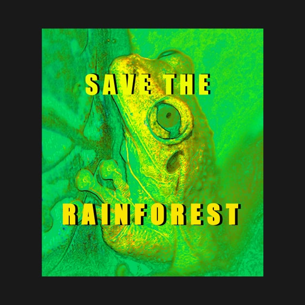 Save the Rainforest frog by dltphoto