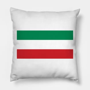 Convention People's Party Flag Pillow