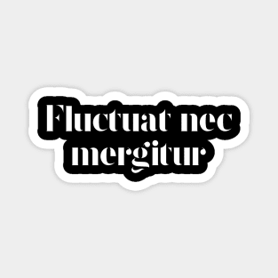 Fluctuat nec mergitur - Paris Magnet