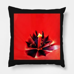 Red tulip macro Pillow