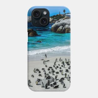 African Penguins at the beach Phone Case