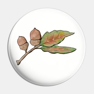 Acorns Pin