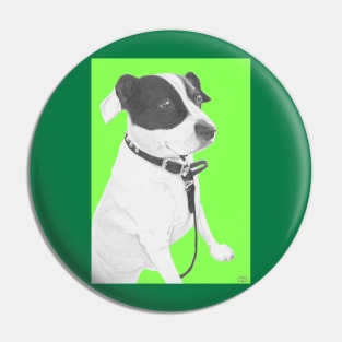 Jack Russell Crossbreed in green Pin