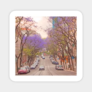 Jacarandás. Rua Rodrigo da Fonseca. Lisbon Magnet