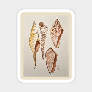 Seashell Study Magnet