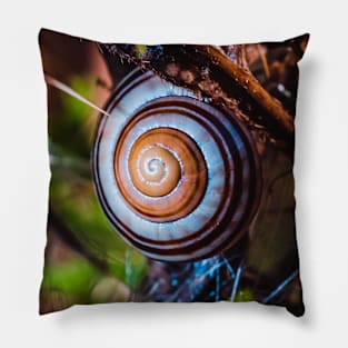 Hanging On. Macro Snail Shell Photograph Pillow