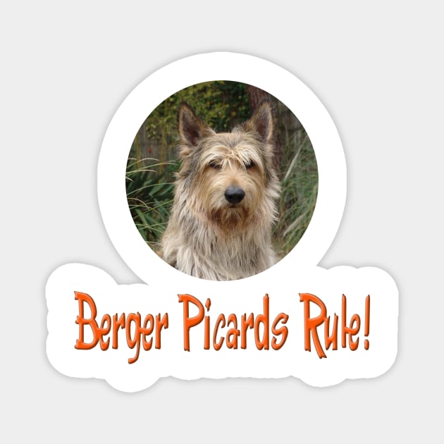 Berger Picards Rule! Magnet by Naves