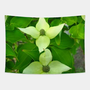 Kousa Dogwood Flowers Tapestry