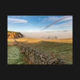 Tweed Valley Mist T-Shirt