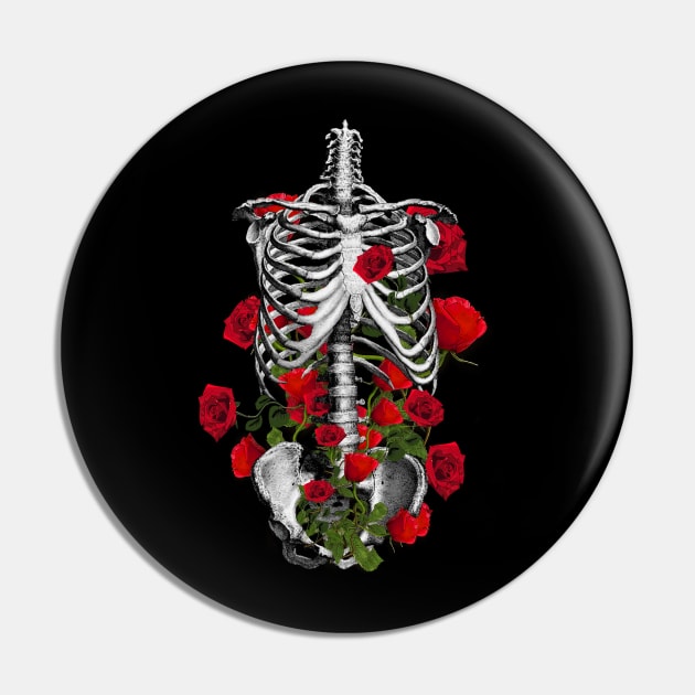 human anatomy rib cage Pin by Collagedream