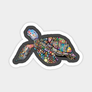 Sea Turtle Animal Floral Chromatic Colorful Magnet