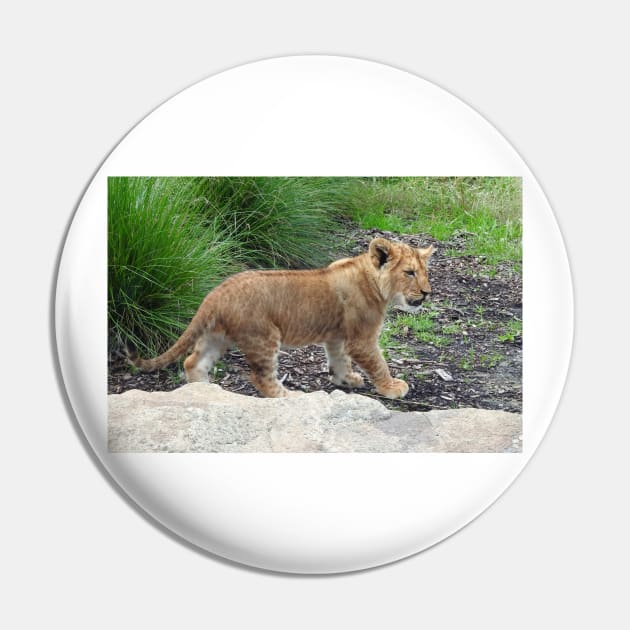 Lion Cub Pin by kirstybush