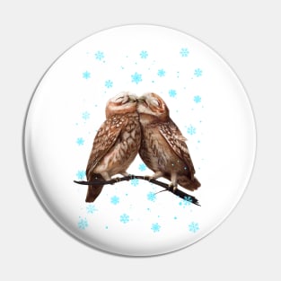 Owls of love in xmas Pin