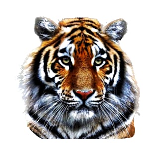 Tiger Head T-Shirt