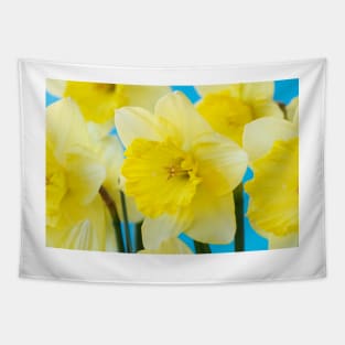 Narcissus  &#39;Saint Patrick&#39;s Day&#39;   Division 2 Large-cupped Daffodil Tapestry