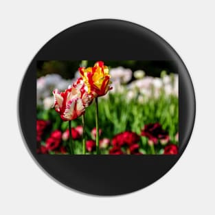 tulips Pin