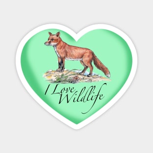 I Love Foxes Magnet