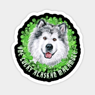 One Lucky Alaskan Malamute Funny St. Patrick Dog Magnet