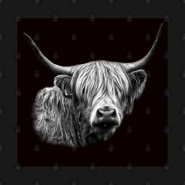 Highland Cow Portrait by Jane Braat