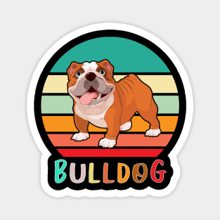 Vintage Retro Bulldog Magnet