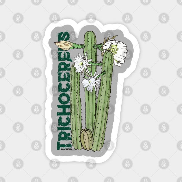 TRICHO #02 Magnet by AgaCactus