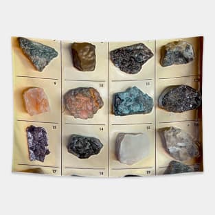 Showcase of classified rare and geological stones Tapestry