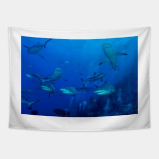 Grey Reef Sharks Great Barrier Reef Australia Tapestry