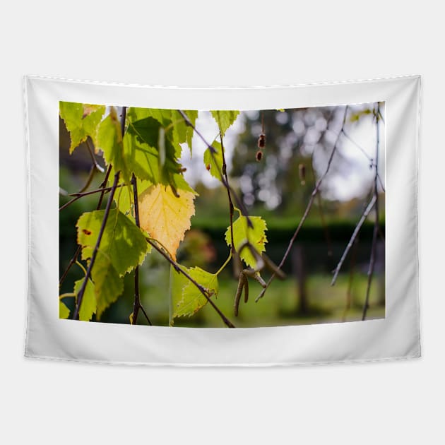Green and yellow autumn birch leaves Tapestry by lena-maximova