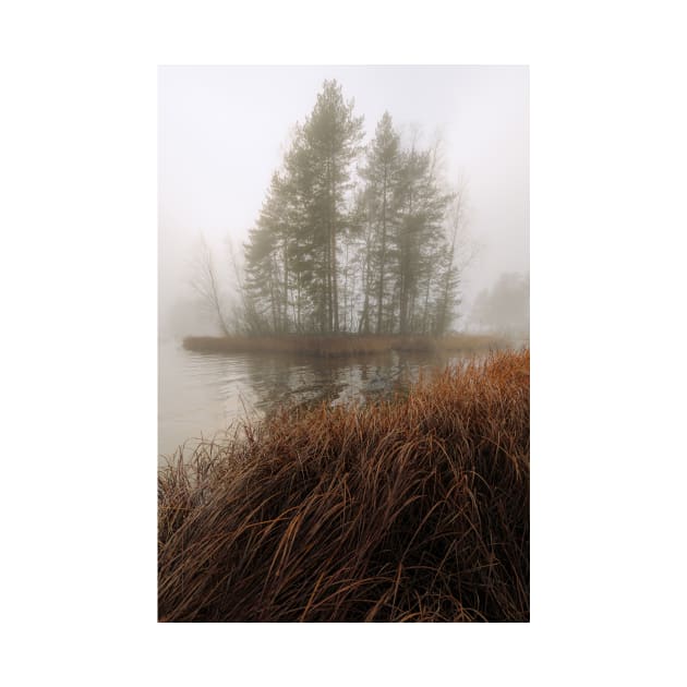 Foggy lake and small island by Juhku