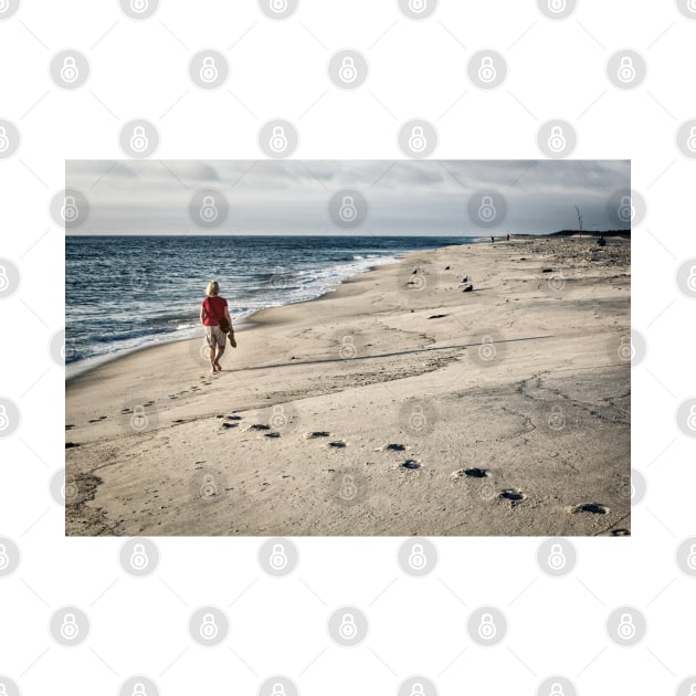 Beach Steps Cape Cod by Robert Alsop