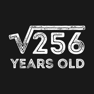 Square Root of 256 Years Old (16th birthday) T-Shirt