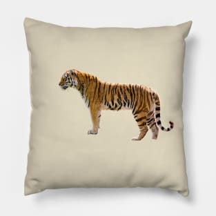 Tiger Pillow