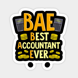 BAE: Best Accountant Ever Cute & Funny Accounting Magnet