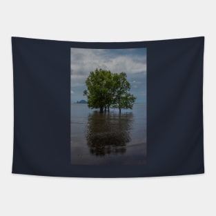 Pan Beach, Long Beach region, Krabi Provence, Thailand Tapestry