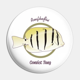 Convict Tang Pin