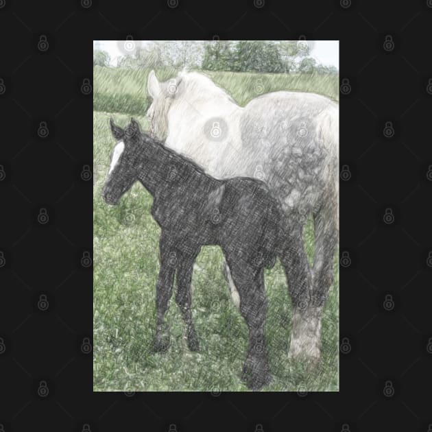 Percheron Colt And Mare In Pasture Digital Art by ConniSchaf