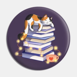 Calico Cat Sleeping On Books Pin