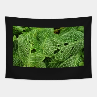 Green Leaves with White Veins Tapestry